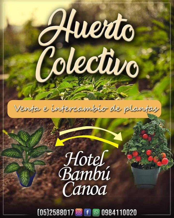 Hotel Bambu Canoa Exteriör bild